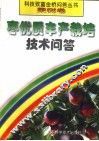 枣优质丰产栽培技术问答 封面