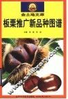 板栗推广新品种图谱 封面