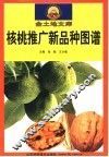 核桃推广新品种图谱 封面