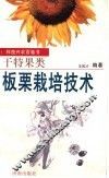板栗栽培技术 封面