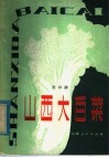 山西大白菜 封面
