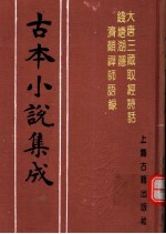 古本小说集成  大唐三藏取经诗话  钱塘湖隐济颠禅师语录 封面