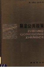 制定公共政策  美国政府的乐观前景 封面