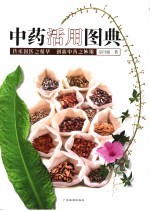 中药活用图典 封面