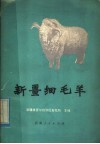 新疆细毛羊 封面
