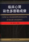 临床心肾彩色多普勒成像 封面