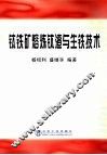 钛铁矿熔炼钛渣与生铁技术 封面