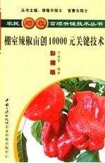 棚室辣椒亩创10000元关键技术  彩插版 封面