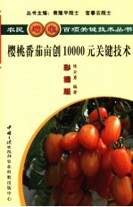 樱桃番茄亩创10000元关键技术  彩插版 封面
