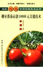 棚室番茄亩创10000元关键技术  彩插版 封面