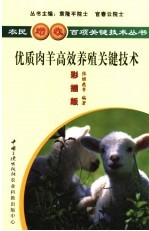 优质肉羊高效养殖关键技术  彩插版 封面