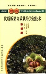 优质板栗高效栽培关键技术  彩插版 封面
