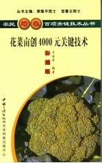 花菜亩创4000元关键技术  彩插版 封面