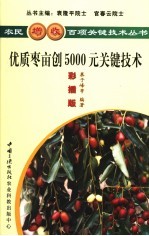 优质枣亩创5000元关键技术  彩插版 封面