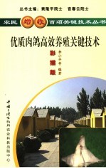 优质肉鸽高效养殖关键技术  彩插版 封面