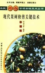 现代果树修剪关键技术  彩插版 封面