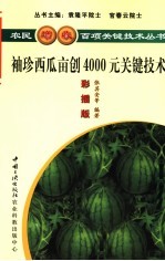 袖珍西瓜亩创4000元关键技术  彩插版 封面