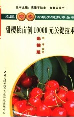 甜樱桃亩创10000元关键技术  彩插版 封面
