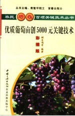 优质葡萄亩创5000元关键技术  彩插版 封面
