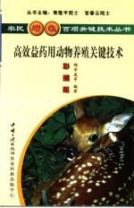 高效益药用动物栽培关键技术  彩插版 封面