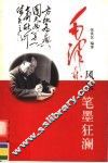笔墨狂澜 封面