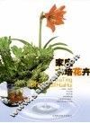 家庭水培花卉 封面