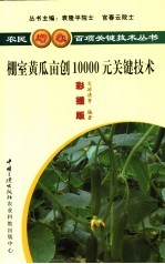 棚室黄瓜亩创10000元关键技术  彩插版 封面