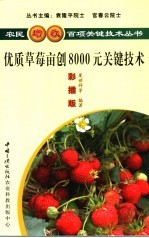 优质草莓亩创8000元关键技术  彩插版 封面