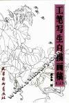 工笔白描写生画稿  3 封面