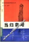 当归栽培 封面
