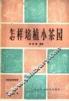 怎样培植小茶园 封面