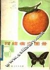柑桔病虫图册 封面