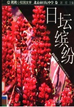 日坛缤纷 封面