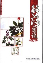 鲜药图谱 封面