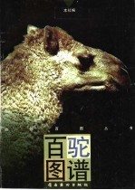 百驼图谱 封面