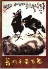鸟的千姿百态 封面