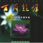 百荷竞辉  齐兆庆荷花摄影集 封面