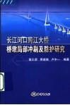 长江河口跨江大桥桥墩局部冲刷及防护研究 封面