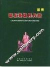 留庄英雄民兵营图集 封面
