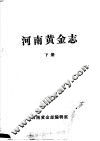 河南黄金志  下 封面