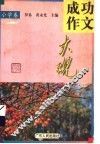 成功作文大观  小学卷 封面