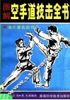 图解空手道技击全书 封面