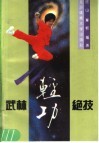 武林轻功绝技 封面