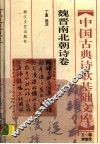 中国古典诗歌基础文库  魏晋南北朝诗卷 封面