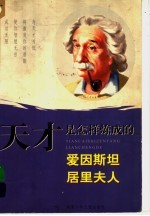 天才是怎样炼成的  爱因思坦·居里夫人 封面