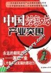 中国游戏产业突围 封面