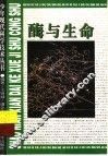 酶与生命 封面