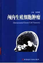 颅内生殖细胞肿瘤 封面