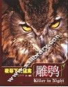 夜幕下的猛禽-雕鸮 封面