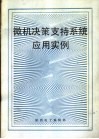 微机决策支持系统应用实例 封面